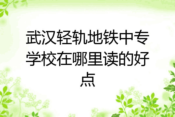 武汉轻轨地铁中专学校在哪里读的好点