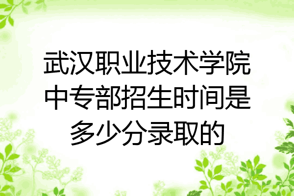 武汉职业技术学院中专部招生时间是多少分录取的