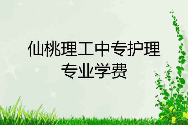仙桃理工中专护理专业学费
