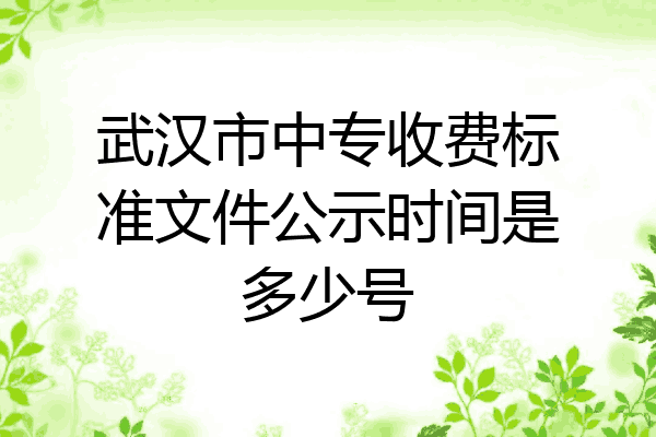 武汉市中专收费标准文件公示时间是多少号