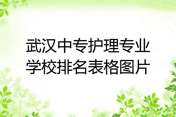 武汉中专护理专业学校排名表格图片