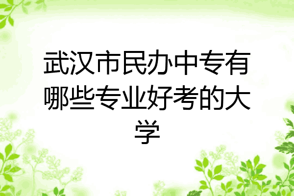 武汉市民办中专有哪些专业好考的大学