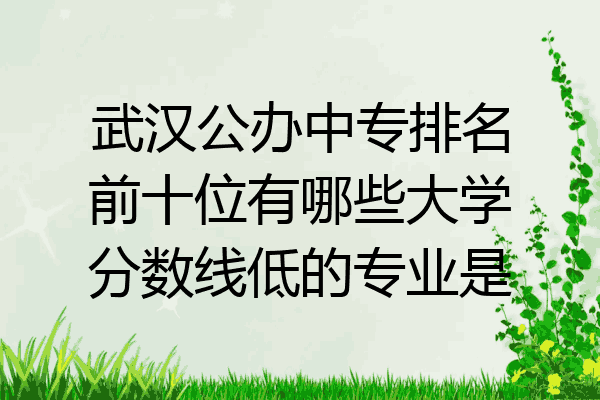 武汉公办中专排名前十位有哪些大学分数线低的专业是