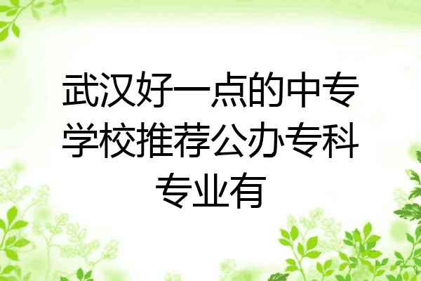 武汉好一点的中专学校推荐公办专科专业有