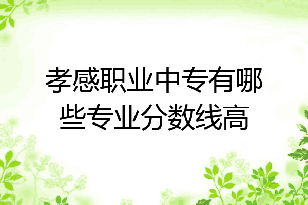 孝感职业中专有哪些专业分数线高