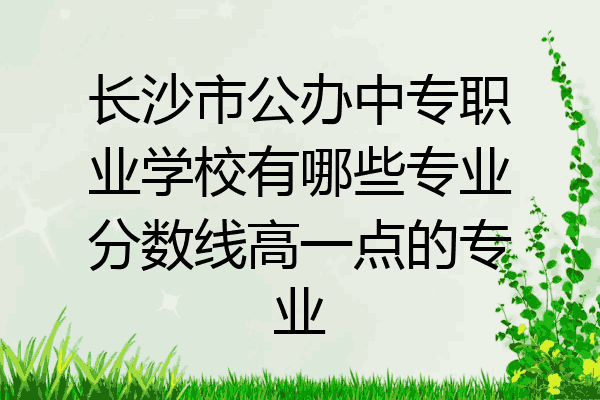 长沙市公办中专职业学校有哪些专业分数线高一点的专业