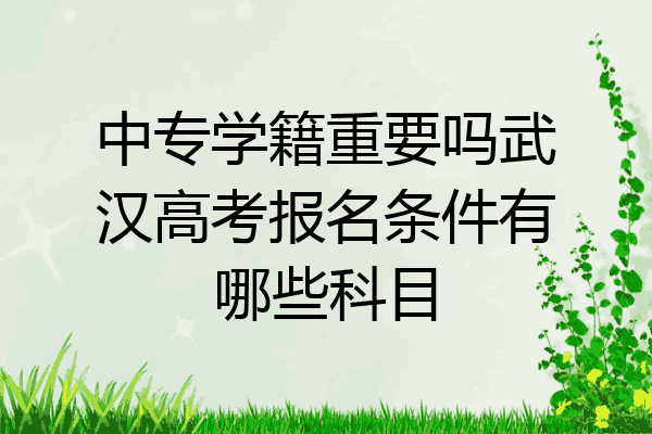 中专学籍重要吗武汉高考报名条件有哪些科目