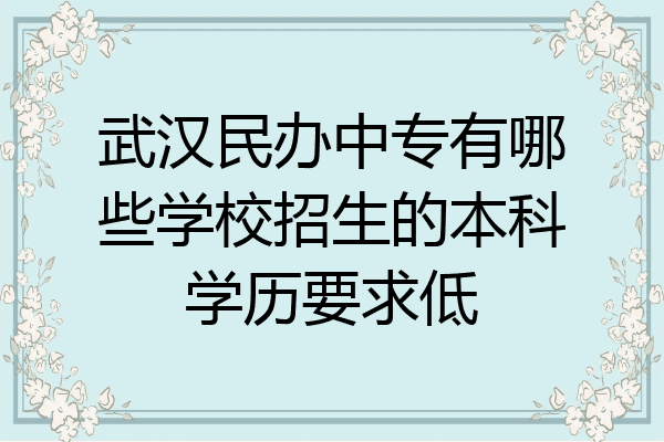 武汉民办中专有哪些学校招生的本科学历要求低