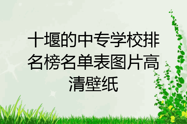十堰的中专学校排名榜名单表图片高清壁纸