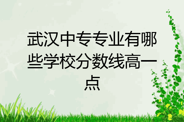 武汉中专专业有哪些学校分数线高一点