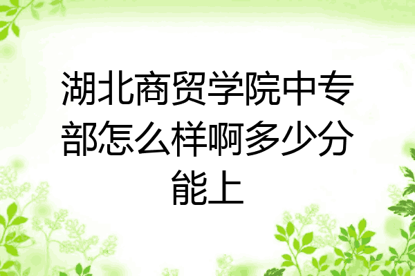 湖北商贸学院中专部怎么样啊多少分能上