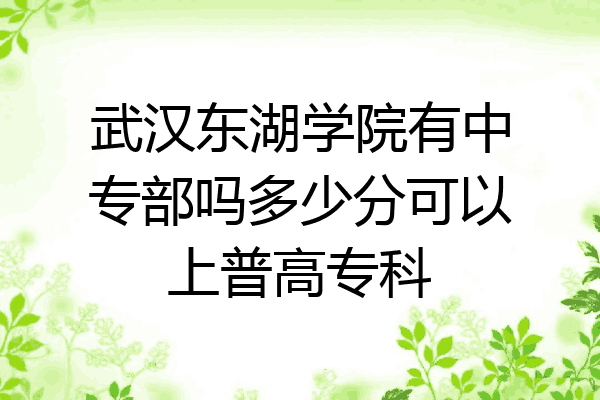 武汉东湖学院有中专部吗多少分可以上普高专科