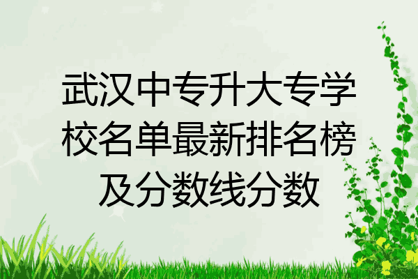 武汉中专升大专学校名单最新排名榜及分数线分数