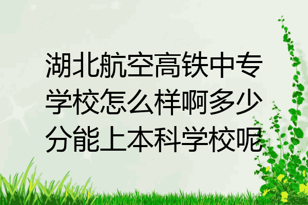 湖北航空高铁中专学校怎么样啊多少分能上本科学校呢