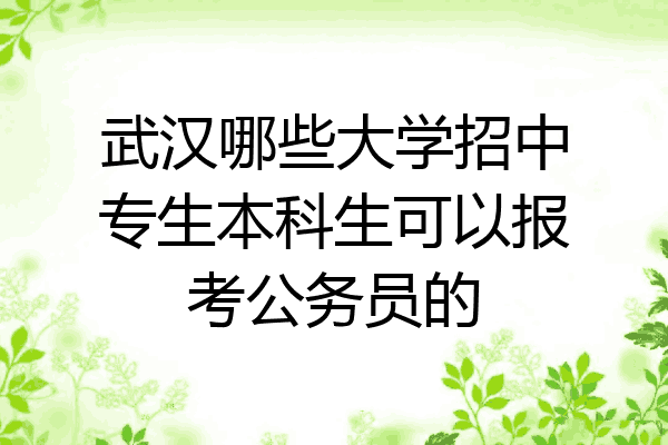 武汉哪些大学招中专生本科生可以报考公务员的