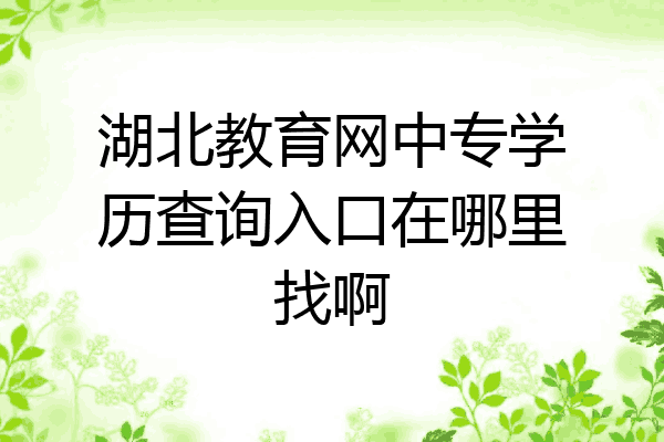 湖北教育网中专学历查询入口在哪里找啊