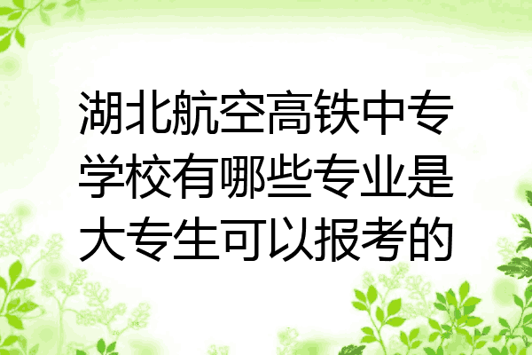 湖北航空高铁中专学校有哪些专业是大专生可以报考的