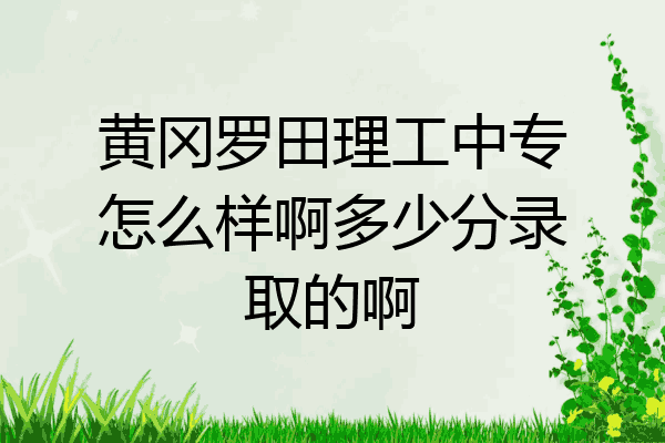 黄冈罗田理工中专怎么样啊多少分录取的啊