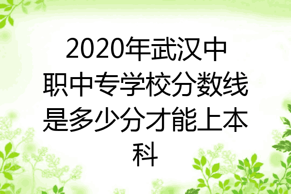 2020年武汉中职中专学校分数线是多少分才能上本科