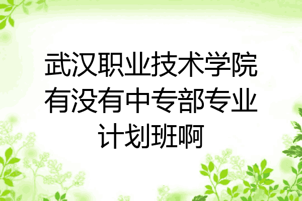 武汉职业技术学院有没有中专部专业计划班啊