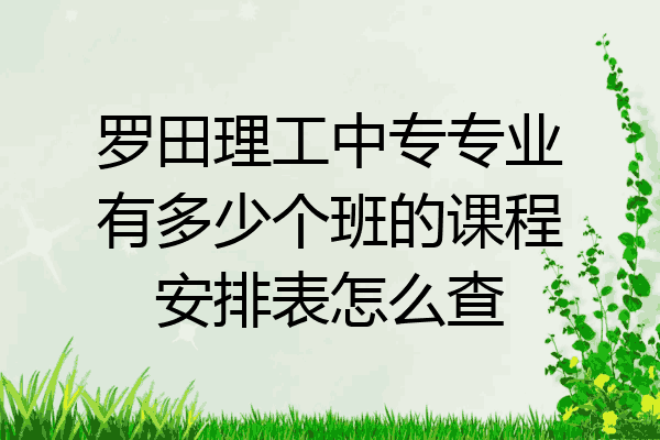 罗田理工中专专业有多少个班的课程安排表怎么查
