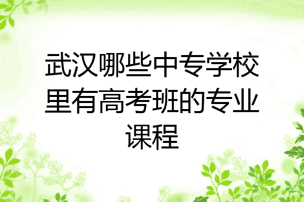 武汉哪些中专学校里有高考班的专业课程