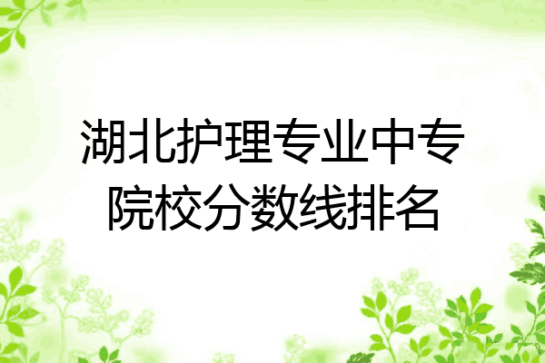 湖北护理专业中专院校分数线排名