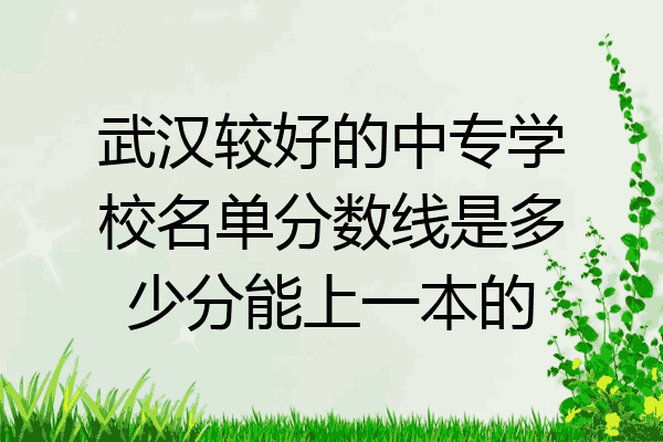 武汉较好的中专学校名单分数线是多少分能上一本的