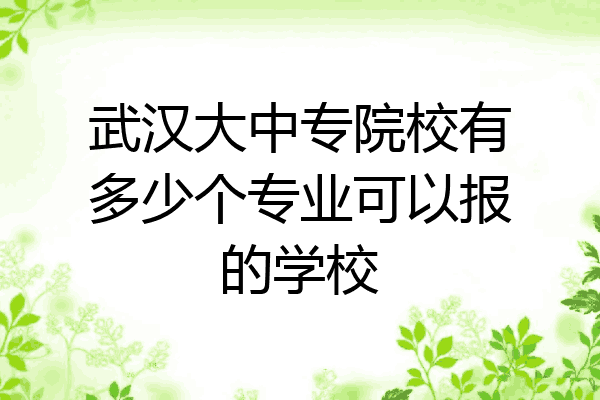 武汉大中专院校有多少个专业可以报的学校