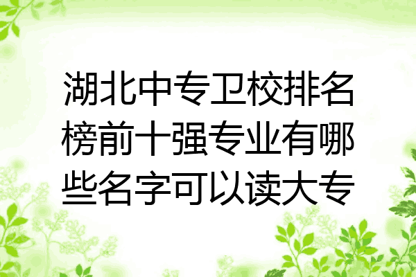 湖北中专卫校排名榜前十强专业有哪些名字可以读大专