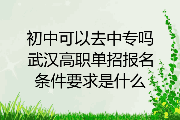 初中可以去中专吗武汉高职单招报名条件要求是什么