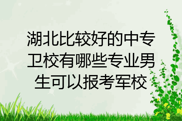 湖北比较好的中专卫校有哪些专业男生可以报考军校
