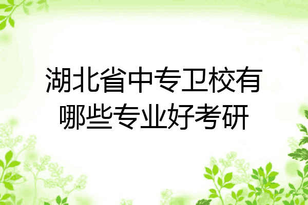 湖北省中专卫校有哪些专业好考研