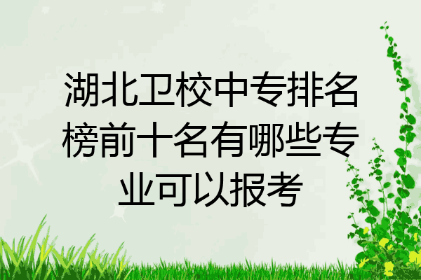 湖北卫校中专排名榜前十名有哪些专业可以报考