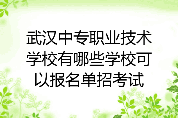 武汉中专职业技术学校有哪些学校可以报名单招考试