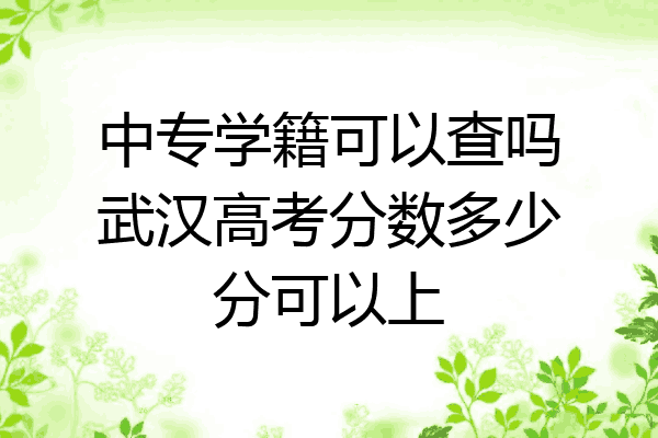 中专学籍可以查吗武汉高考分数多少分可以上