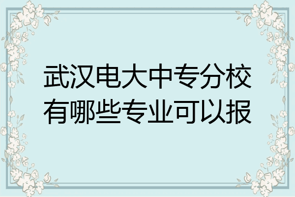 武汉电大中专分校有哪些专业可以报