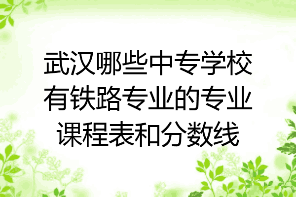 武汉哪些中专学校有铁路专业的专业课程表和分数线