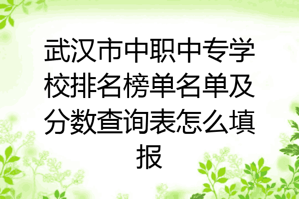 武汉市中职中专学校排名榜单名单及分数查询表怎么填报