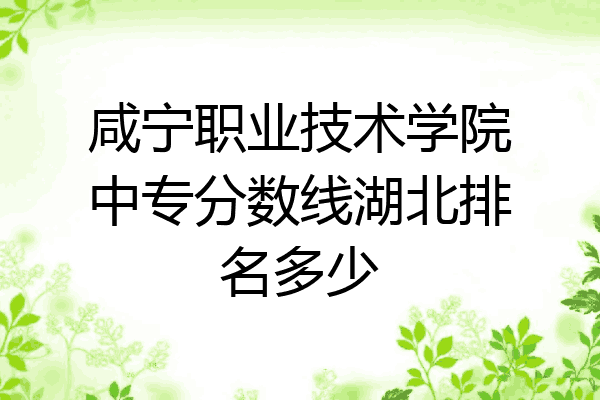 咸宁职业技术学院中专分数线湖北排名多少