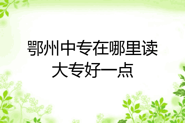 鄂州中专在哪里读大专好一点
