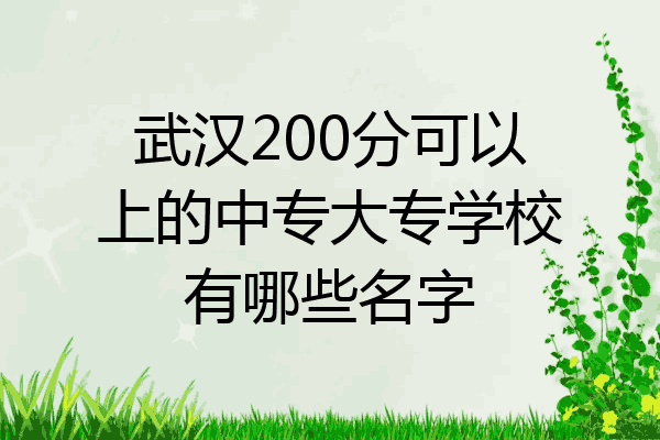 武汉200分可以上的中专大专学校有哪些名字