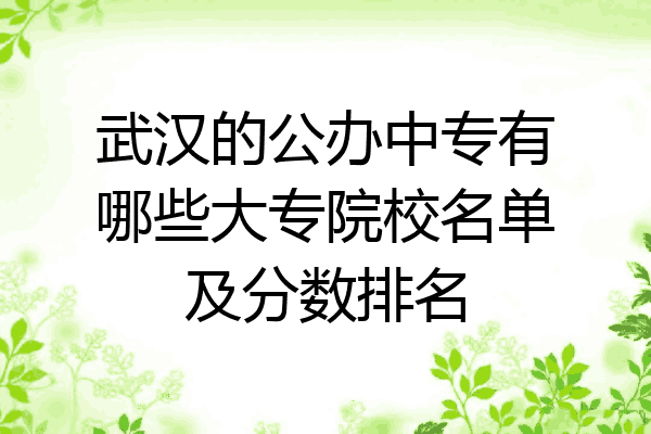 武汉的公办中专有哪些大专院校名单及分数排名