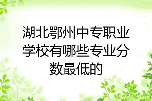 湖北鄂州中专职业学校有哪些专业分数最低的