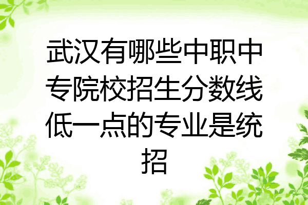 武汉有哪些中职中专院校招生分数线低一点的专业是统招
