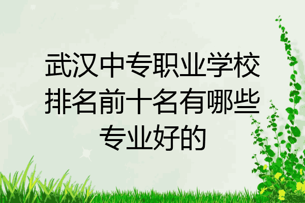 武汉中专职业学校排名前十名有哪些专业好的