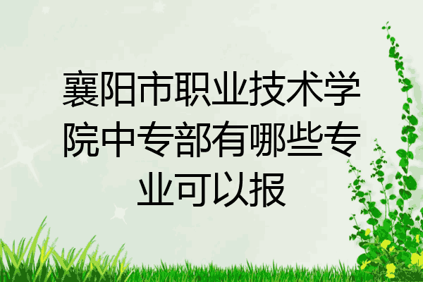 襄阳市职业技术学院中专部有哪些专业可以报