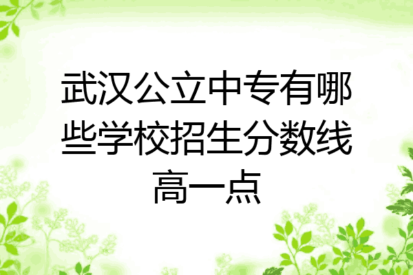 武汉公立中专有哪些学校招生分数线高一点
