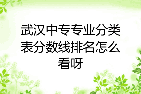 武汉中专专业分类表分数线排名怎么看呀