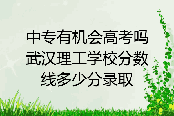中专有机会高考吗武汉理工学校分数线多少分录取